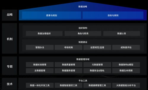 洞見未來，駕馭數(shù)據(jù) 國內(nèi)優(yōu)秀數(shù)據(jù)治理服務(wù)商及軟件開發(fā)指南